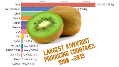 Largest Kiwifruit Producing Countries In The World 1980 2019 Youtube