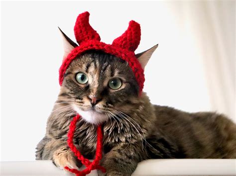 Devil Cat Hat Devil Pet Costume Devil Horns For Cats Devil Etsy Uk