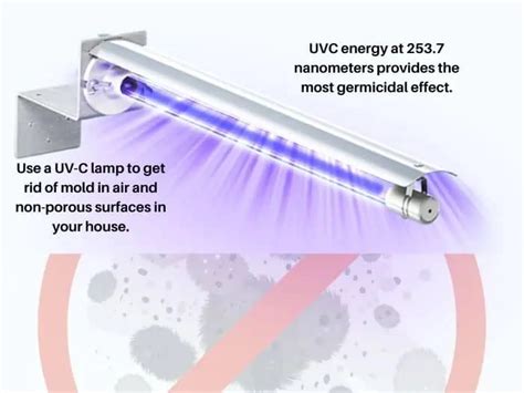 Using Ultraviolet Light To Kill Mold Shelly Lighting