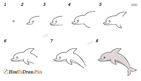 How To Draw A Dolphin Step By Step