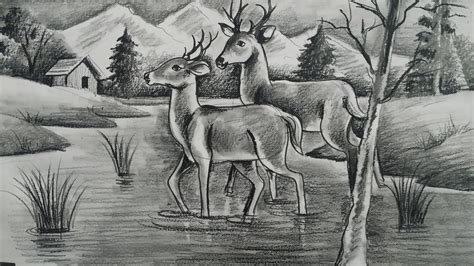 How To Draw Deer With Pencil Sketch Sceneryhow To Draw Forest Scenery