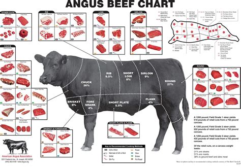 Buy Iconic Arts Angus Beef Cuts Of Meat Butcher Chart X Online At Desertcartoman