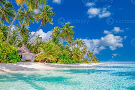 Beautiful Tropical Beach With White Sand Palm Trees Turquoise Ocean Against Blue Sky With