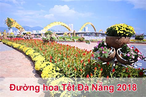 Duong Hoa Tet Da Nang 2018 Kinh Nghiệm Du Lịch Và Mua Sắm Tại Đà Nẵng