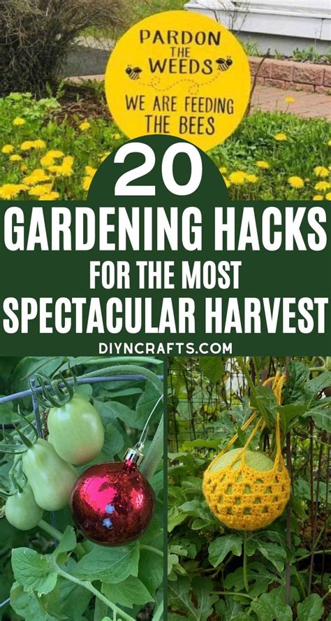 20 best gardening hacks for a spectacular harvest diy and crafts