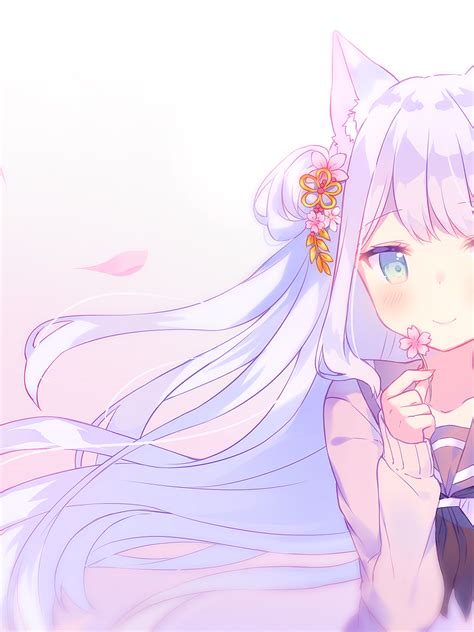 Cat With White Hair Anime Girl
