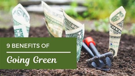 9 Benefits Of Going Green Journey To Going Green