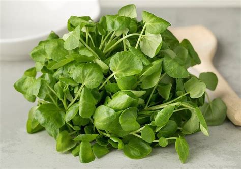 10 Leafy Green Vegetables Everyone Should Be Eating