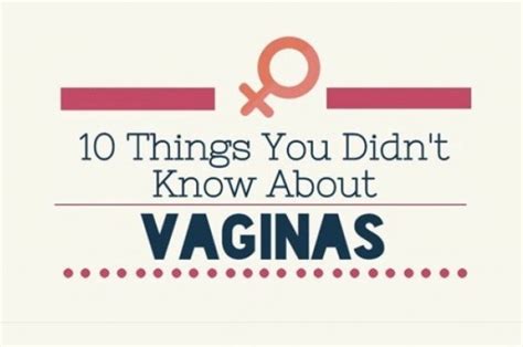 10 Things You Didnt Know About Vaginas For RealYou Need To SEE This