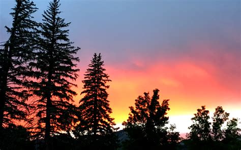 Free Images Tree Nature Forest Mountain Cloud Sky Sunrise