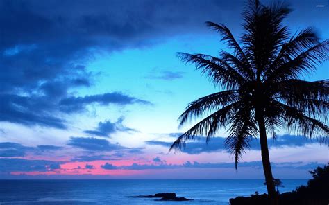 Blue Sunset Wallpapers Top Hình Ảnh Đẹp