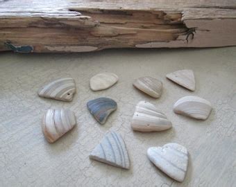Natural Tumbled Sea Shell Fragments For Assemblage Art Etsy