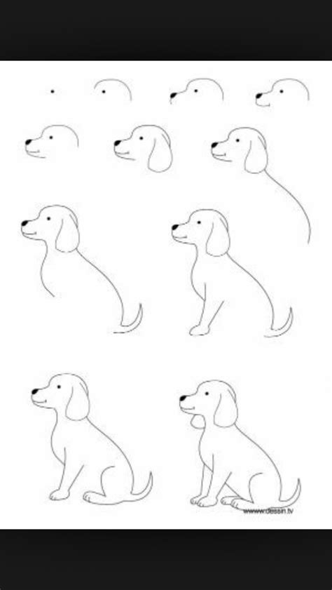 3 Ways To Draw Animals Wikihow