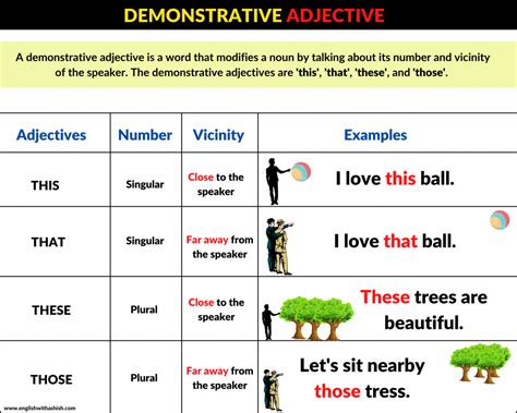 Demonstrative Adjective Masterclass