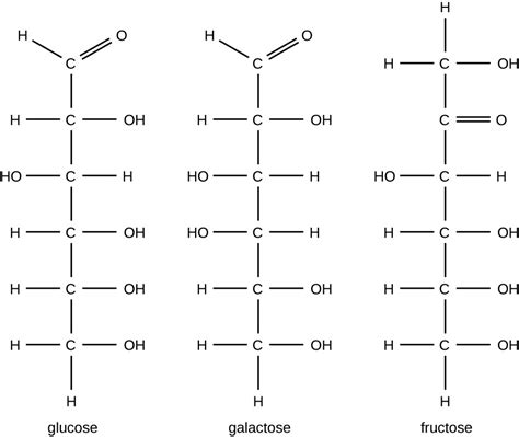 31 Galactose Structure Formula Structureofgalactose3