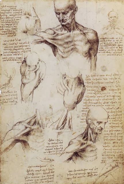 Leonardo Da Vinci 1452 1519 Drawings Fine Art And You