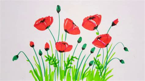 Poppy Flowers Drawing Simple And Easy Flower Painting Tutorial For