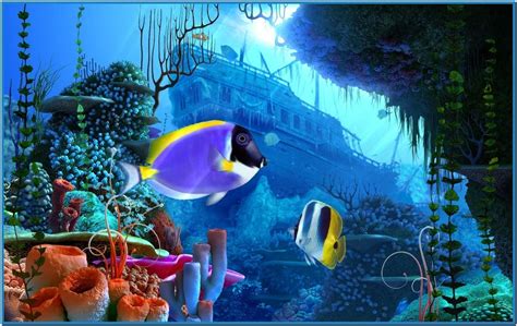 Download 3d Fish Aquarium Screensaver Wallpaper Best By Annagriffin