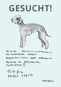 Ein kleiner chihuahua wiegt 600 gramm, ein irischer wolfshund ca. ᐅ Deutsch Klasse 7/8 ⇒ einen Steckbrief verfassen - kapiert.de