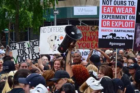 Animal Activism 14 Awesome Tips For Animal Activists