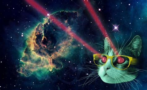 Laser Cat With Glasses Laser Cat Pinterest Hipsters And Cat