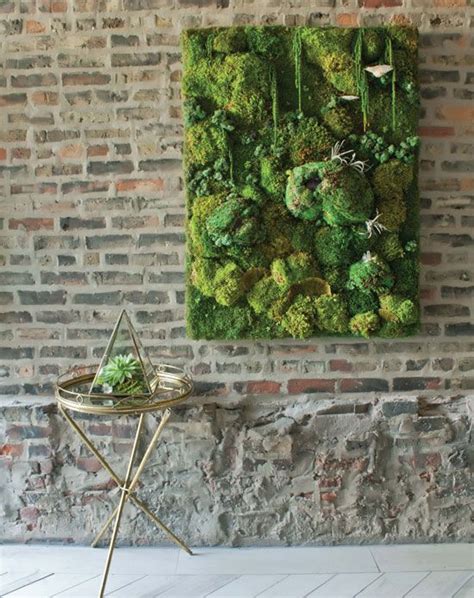 Magically Beautiful Diy Moss Projects Ideas For The Housemakers Moss