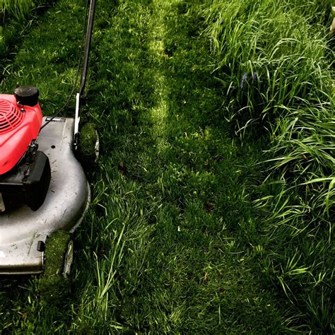 Thank you for the opportunity to be able to provide you with an exceptional lawn service and. 2021 Lawn Service Prices | Hourly, Weekly, Monthly Lawn Mowing Cost
