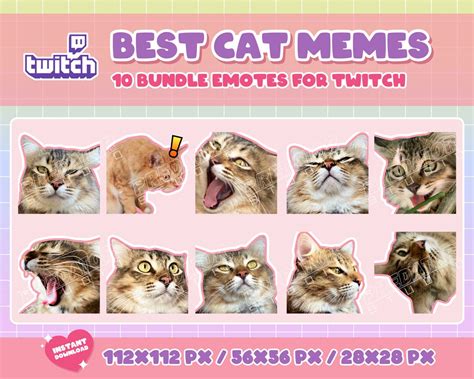 10 Cute Cat Memes Emote Pack 10 Cat Emotes Sad Emote Kitty Emotes