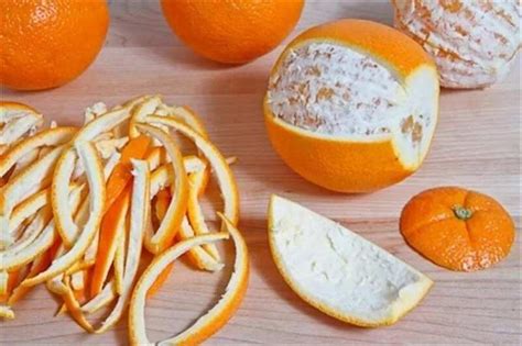 Reasons Why You Should Not Throw Away Your Orange Peels Legitng