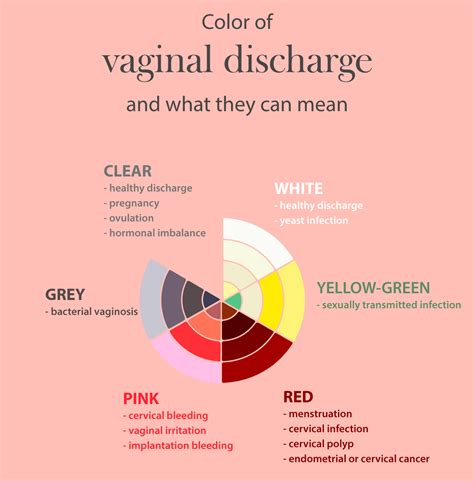 Your Ultimate Guide To Vaginal Hygiene And Care Pristyn Care The Best