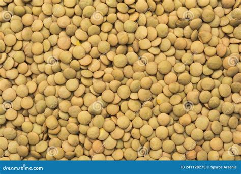 Background Texture Of Brown Lentils Close Up Stock Image Image Of