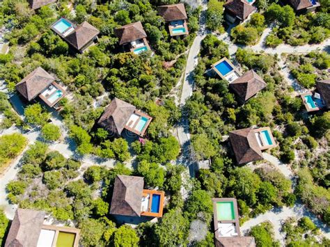 Surrounding the pool is a tropical garden that contains a mixture of plants, fruit trees. Aerial View Of Luxury Villa With Swimming Pool In Tropical ...