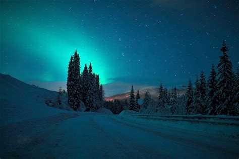 Aurora Borealis over Winter Road Image - ID: 202118 - Image Abyss