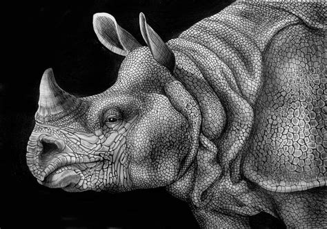 Simply Creative Realistic Pen And Ink Drawings By Tim Jeffs