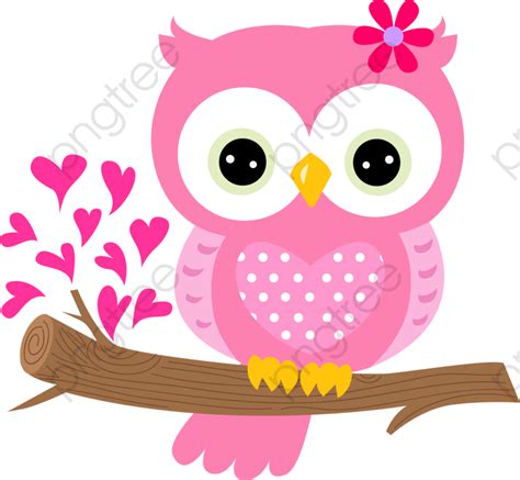 Owl Png Owl Clip Art Owl Wallpaper Owl Party Owl Cartoon Owls