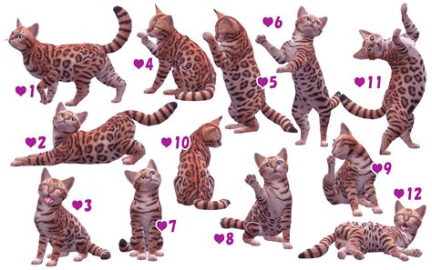 Sims 4 Ccs The Best 12 Pose All In One Cas By A Lucky Day