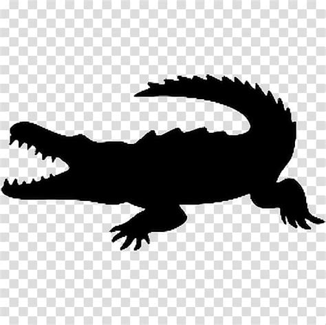 Alligator Alligators Crocodile Silhouette Crocodilia Reptile Nile