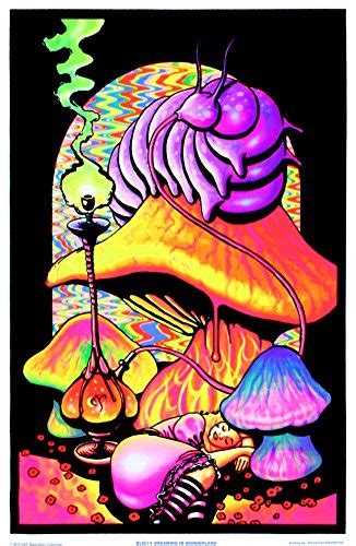 Mushroom Ripple Blacklight Poster 23 X 35in Zenipla