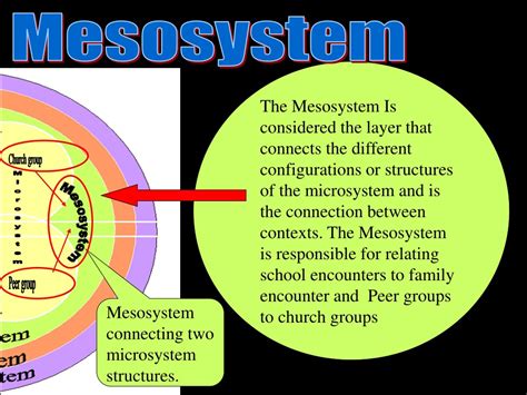 Ppt Macrosystem Powerpoint Presentation Free Download Id8930400