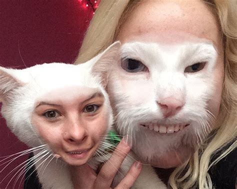 Cat Face Swaps You Cant Unsee Meowingtons