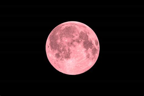 19600 The Pink Moon Stock Photos Pictures And Royalty Free Images Istock