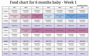 Indian Food Diet Chart For 6 Months Baby 5 Baby Food Schedule Baby