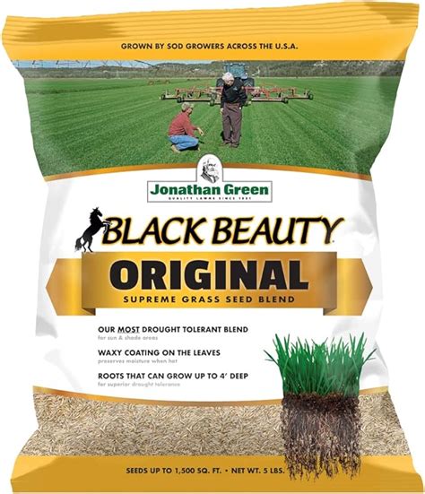 Amazon Com Jonathan Green Black Beauty Original Grass Seed Blend Cool Season Lawn