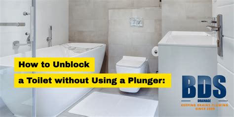 How To Unblock A Toilet Without Plunger Bds Drainage Riset