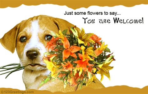 Say Welcome With Flowers Free You Are Welcome Ecards Greeting Cards