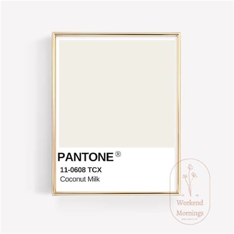 Pantone Bone White Pantone Colour Palettes Pantone Palette Pantone