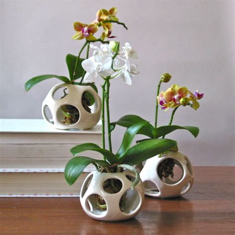 8 Creative Indoor Gardening Ideas Orchid Planters Ceramic Planters Planter Pots Ikebana