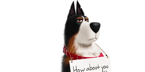 Only now, renaud and returning screenwriter brian lynch deliver a lesson for the parents in the audience. Harrison Ford Is Rooster In New Secret Life of Pets 2 Trailer