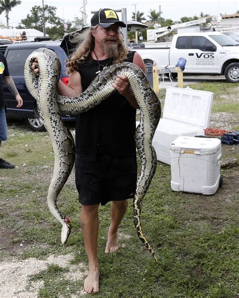 Florida Marks Milestone In Everglades Python Control Program 710 Knus