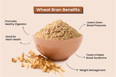 Wheat Bran Benefits Nutrition Facts And Uses